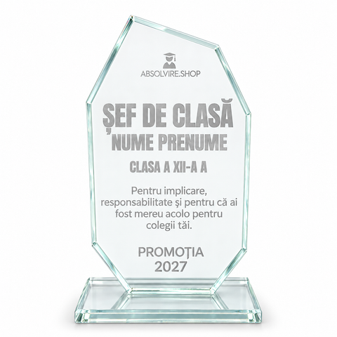 Trofeu personalizat Șef de Clasă